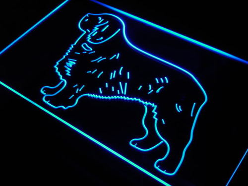 Clumber Spaniel Dog Home Decor Neon Light Sign